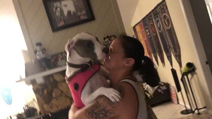 Astrozombies777's tweet photo. Happy Friday Shayna and Puppy!  👑 ♠️ 🐾 #QueensArmy @QoSBaszler https://t.co/UgbmjE6LPY