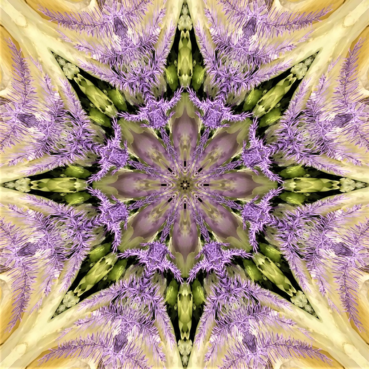 GoetterfunkenDE's tweet photo. From the art series „Götterfunken (Nature Mandalas)“

#Götterfunken #NatureMandalas #SparkOfTheGods #Art #Photography #DigitalArt #PureNature #Flowers #Plants #Meditation #Yoga #Peace #Freedom #InwardReflection #Sacred #Life #Creation #Gaia #PrimordialSource #Love #Iam https://t.co/jZ0JkVUpbY