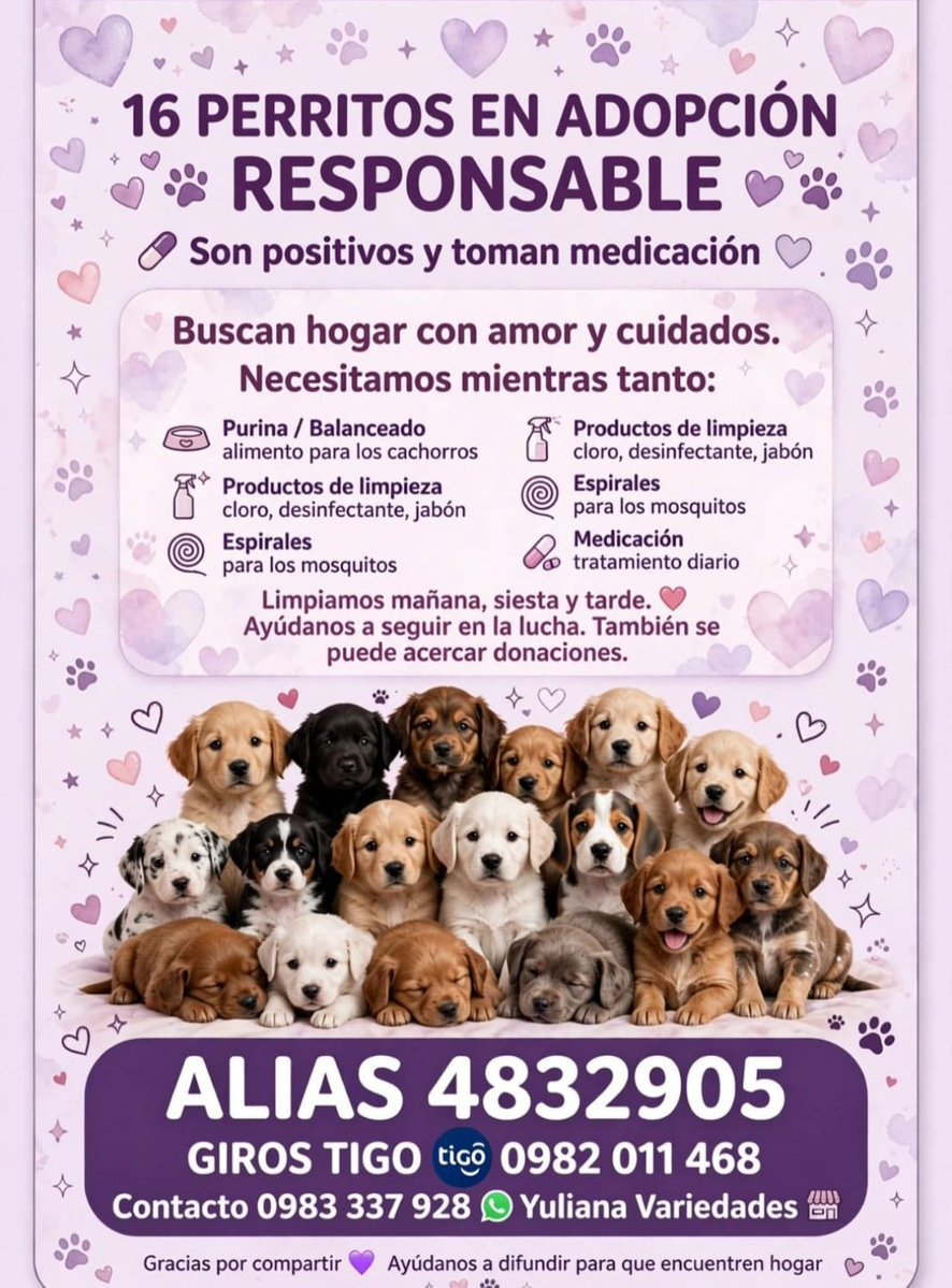 Miravalpy's tweet photo. Ayudemos a difundir y a encontrar hogar para cada uno de los peludos!! 🙏 Mientras tanto cualquier aporte Suma !➕️
Cel 0983 337928 para contacto!!
#AdoptaNoCompres https://t.co/Cwk0DdPEfj