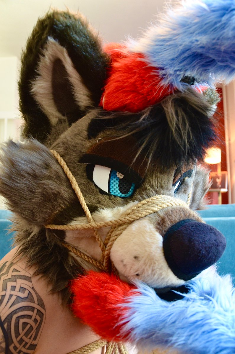tavtavern's tweet photo. Wox: “you doing okay puppy?”
Tav: “mffrrffffmmmffrffff”
Wox: “good wolfieee…”

📸 @Woxplosion 
🪢 @akurodragon https://t.co/Y0Havk4tZn