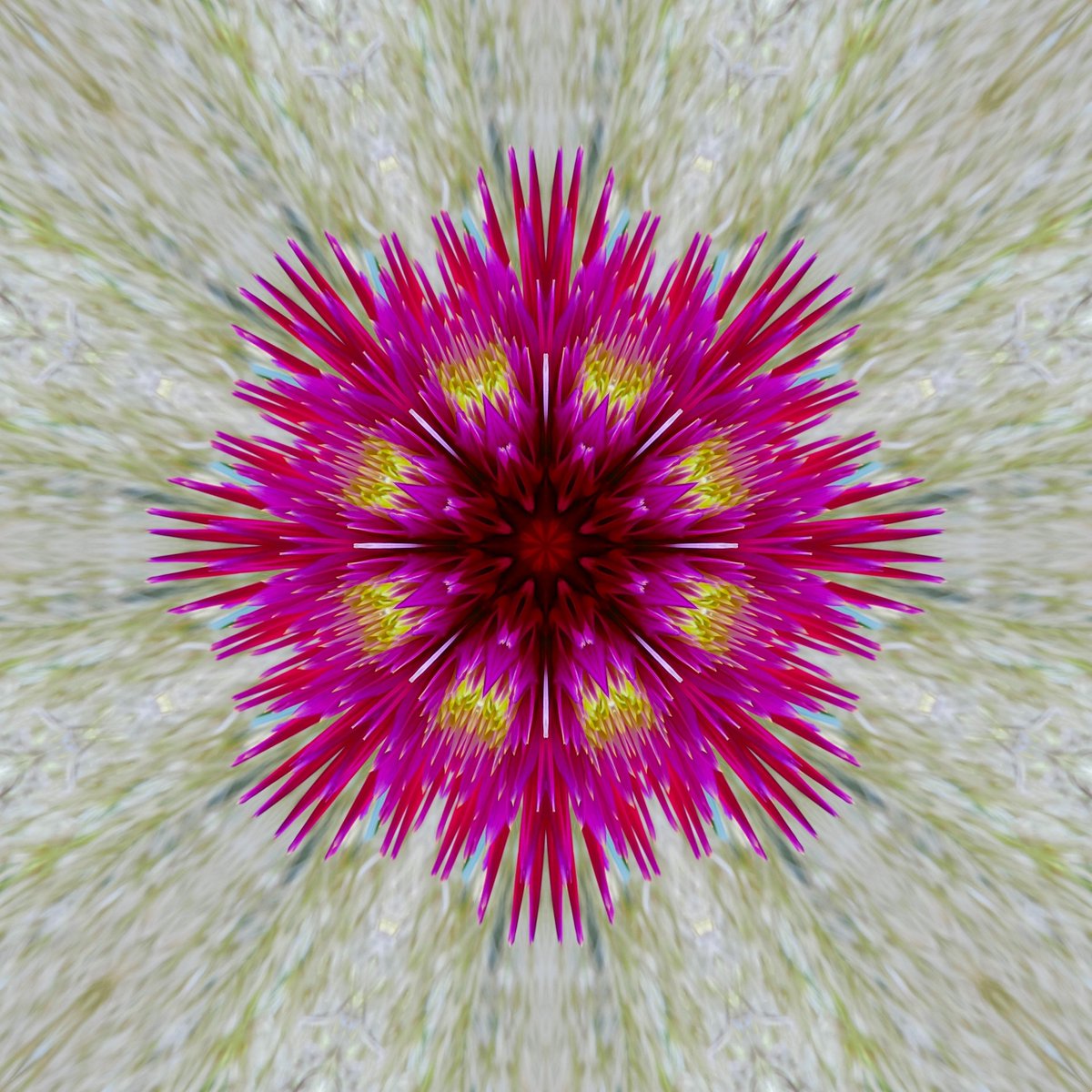 GoetterfunkenDE's tweet photo. From the art series „Götterfunken (Nature Mandalas)“

#Götterfunken #NatureMandalas #SparkOfTheGods #Art #Photography #DigitalArt #PureNature #Flowers #Plants #Meditation #Yoga #Peace #Freedom #InwardReflection #Sacred #Life #Creation #Gaia #PrimordialSource #Love #Iam https://t.co/YDVMEEBcL8