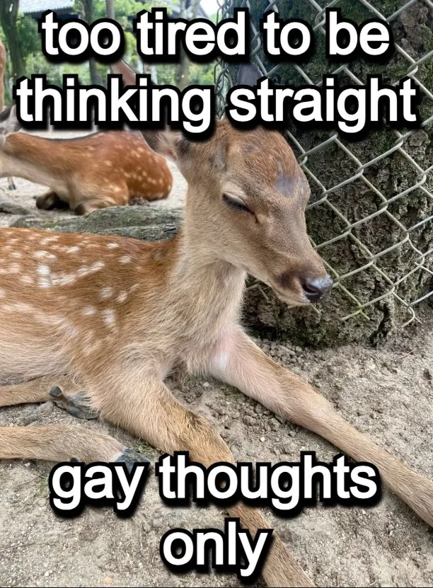 deertexting's tweet photo. https://t.co/ZqMYihBQzv