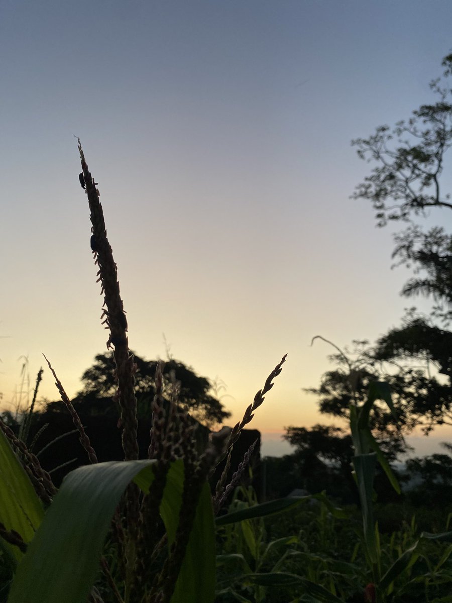 callmejamoo's tweet photo. Nature can be beautiful when u feel the moment. https://t.co/sP9c3R3QtM