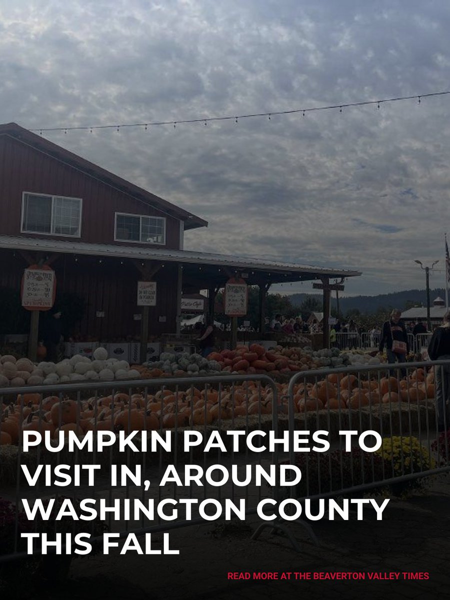 ValleyTimes's tweet photo. Looking to get your gourd? Farms in and around Washington County have their fields and markets ready to peddle pumpkins. 

Read more at the link in our bio. https://t.co/5cmXzDtPdJ