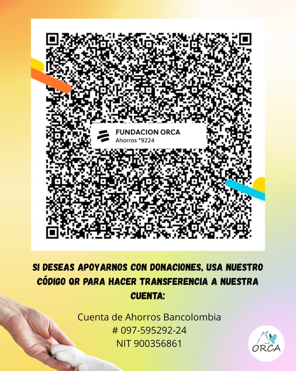 FundacionOrca's tweet photo. 🐾❤️ Hoy queremos pedirles una ayudita de esas que parecen pequeñas, pero para nosotros y para nuestros animales significan muchísimo.

Cada aporte nos ayuda a seguir rescatando, alimentando, cuidando y dando atención veterinaria a tantos perros y gatos que alguna vez conocieron https://t.co/OPTRQwmq5o
