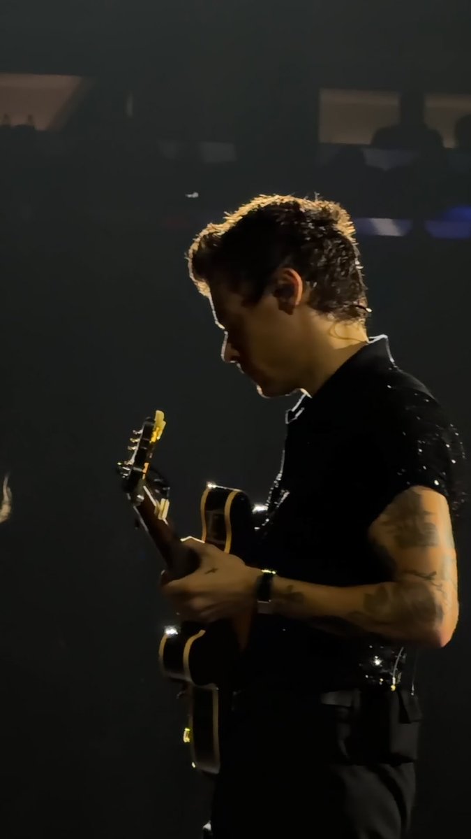 turntzaim's tweet photo. i’m going through all my pictures and videos from night 16 and tell me this is not hs1 harry https://t.co/pipZC24mSr