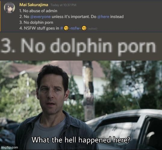 Shitpost_2048's tweet photo. https://t.co/T408HxkmYK
