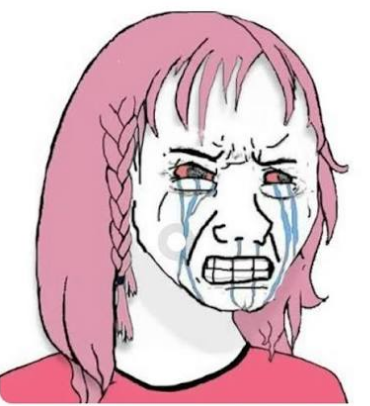 madcap412's tweet photo. Stages of gaming activist discourse

- At game reveal: "Look at all the chuds mad about this game! so many man tears😏"

- Before release: "This game is not for you! You're gay for not liking this ugly ass character"

- During release: "I am having a blast! I am totally not pretending to like it!"

- When Steam/Sales numbers are revealed: "We should get rid of Steam numbers! On PS not all numbers are shown anyways!"

- When layoffs/studio closures are announced: "You all are so HEARTLESS! HOW DARE YOU celebrate people losing their jobs! All those decisions were by the rich execs anyways! The game wasn't even woke!"