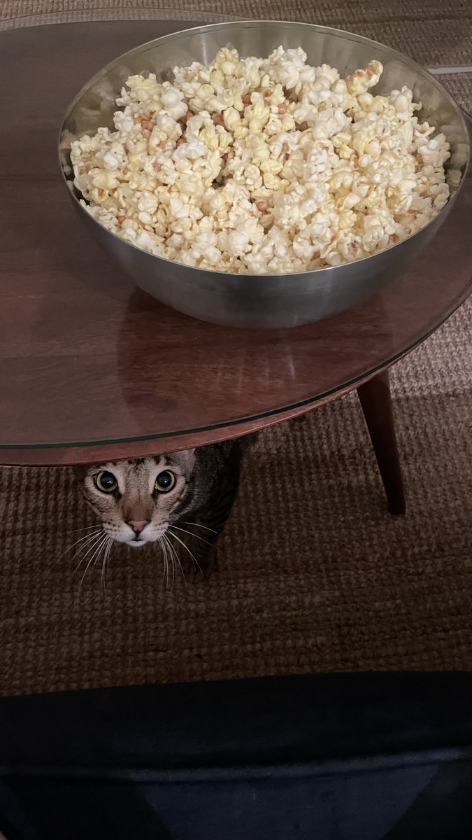 Silly_Lily_ct's tweet photo. no you cannot have my popcorn https://t.co/5hNTpXN3Cm