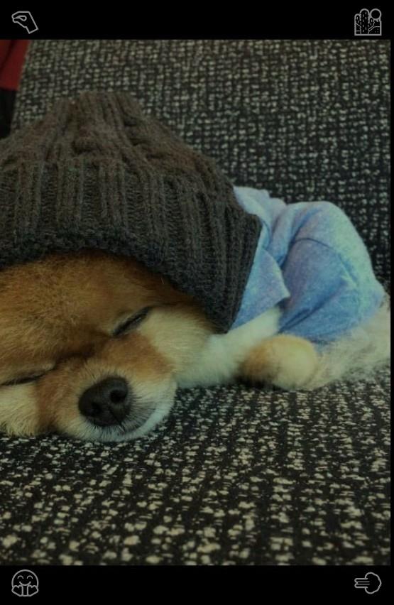 jimjo7's tweet photo. 🛻Banana Pancakes The banana is sliced926755Wardrobe cleaning Clothes in placeLinden tea Calms https://t.co/9VD3pwz6t7