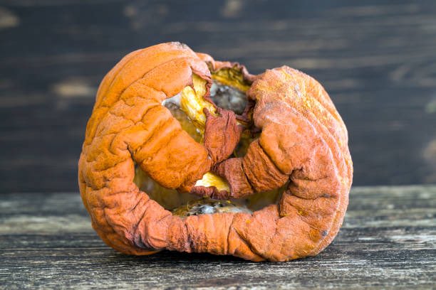 americanamemes's tweet photo. How an 100° October day in LA feels: https://t.co/6Q833UNKEk