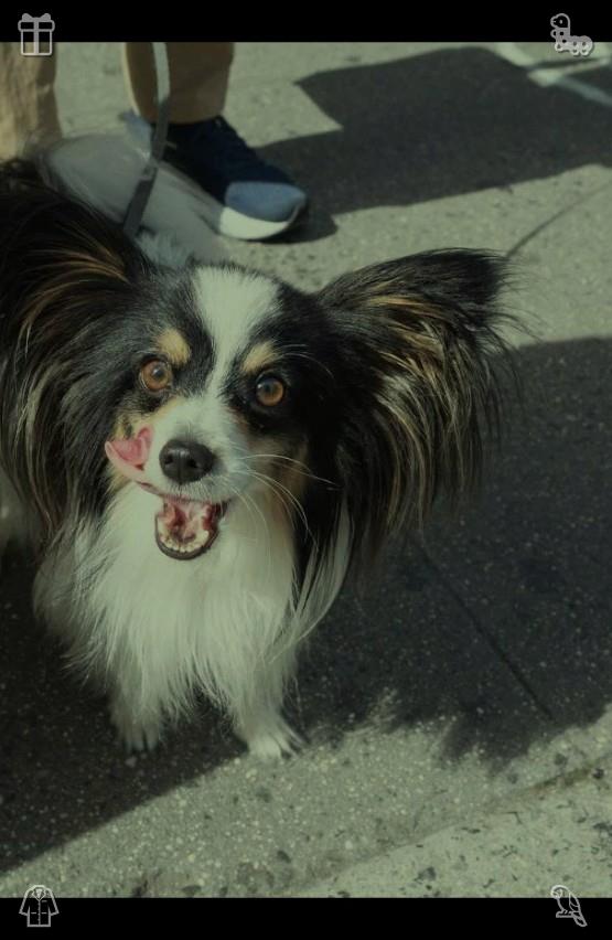 minicaminhao's tweet photo. 🌧Never give up on what you really want.181347Your vibe attracts your tribe. https://t.co/upw77J6hiI