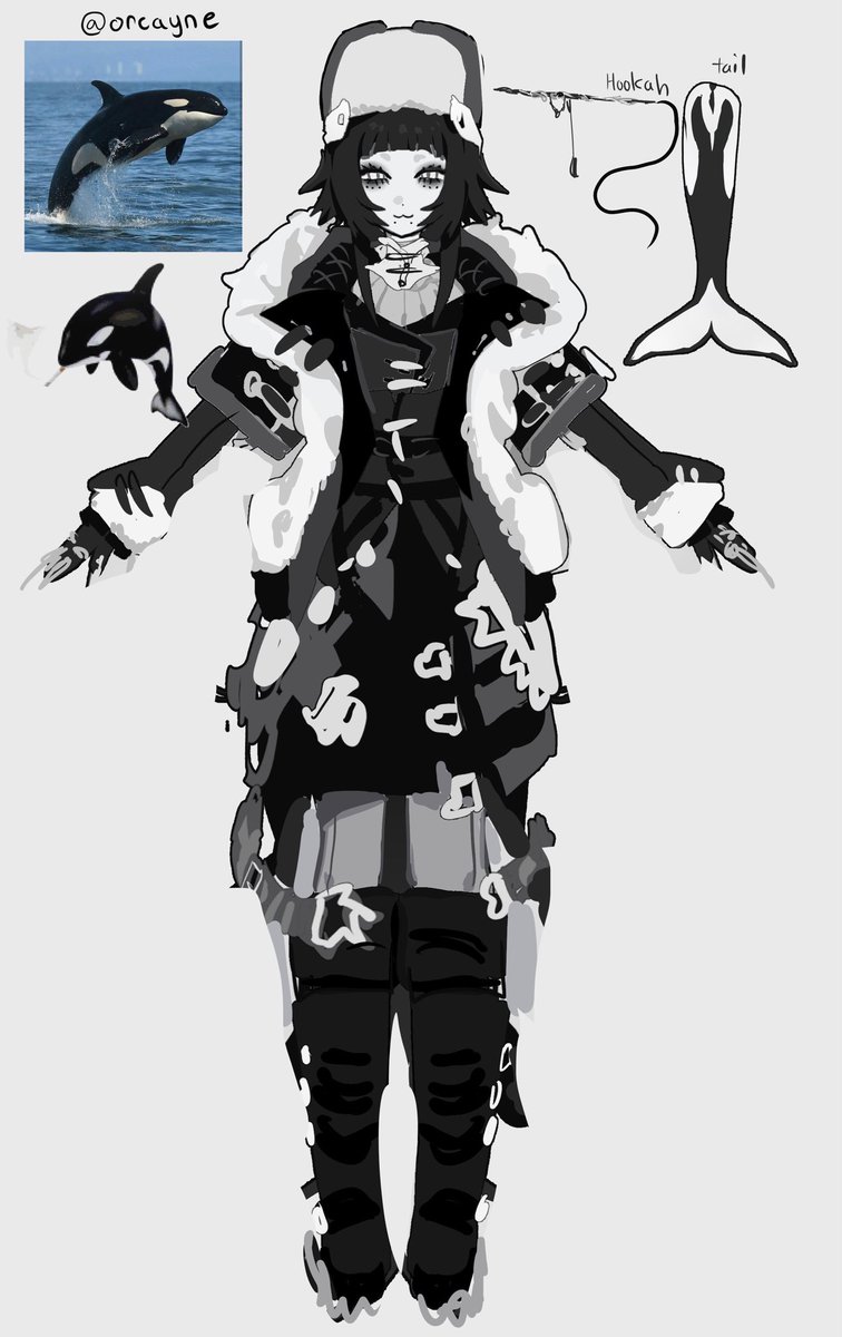 orcaynn's tweet photo. orca https://t.co/5S1rKnSbaV