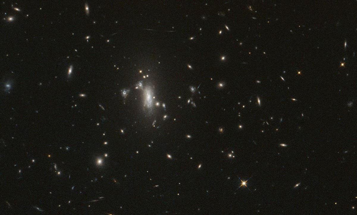 konstructivizm's tweet photo. 🎯 Hubble marks its 200,000th orbit while keeping watch for a lensed supernova

Hubble dedicated this milestone observation to the galaxy cluster MACS J0417 in the constellation Eridanus, located approximately 4.65 billion light-years away. The goal is to re-observe the supernova "Athena," which was discovered last year by the James Webb Space Telescope. Such explosions serve as "standard candles," helping to measure cosmic distances and the rate of the universe's expansion.

The cluster's mass acts as a gravitational lens, causing the supernova's light to travel to us along different paths and appear in the sky at different locations and times. Athena is expected to reappear sometime between now and early March 2027. Hubble will monitor MACS J0417 to capture this reappearance and use the signal delays to reconstruct the cluster's mass distribution.

Combining Hubble’s visible and ultraviolet observations with Webb’s infrared data refines the "distance ladder" and estimates of the Hubble constant; the Nancy Grace Roman Space Telescope will join this collaborative effort in 2027. 🔭

🔭