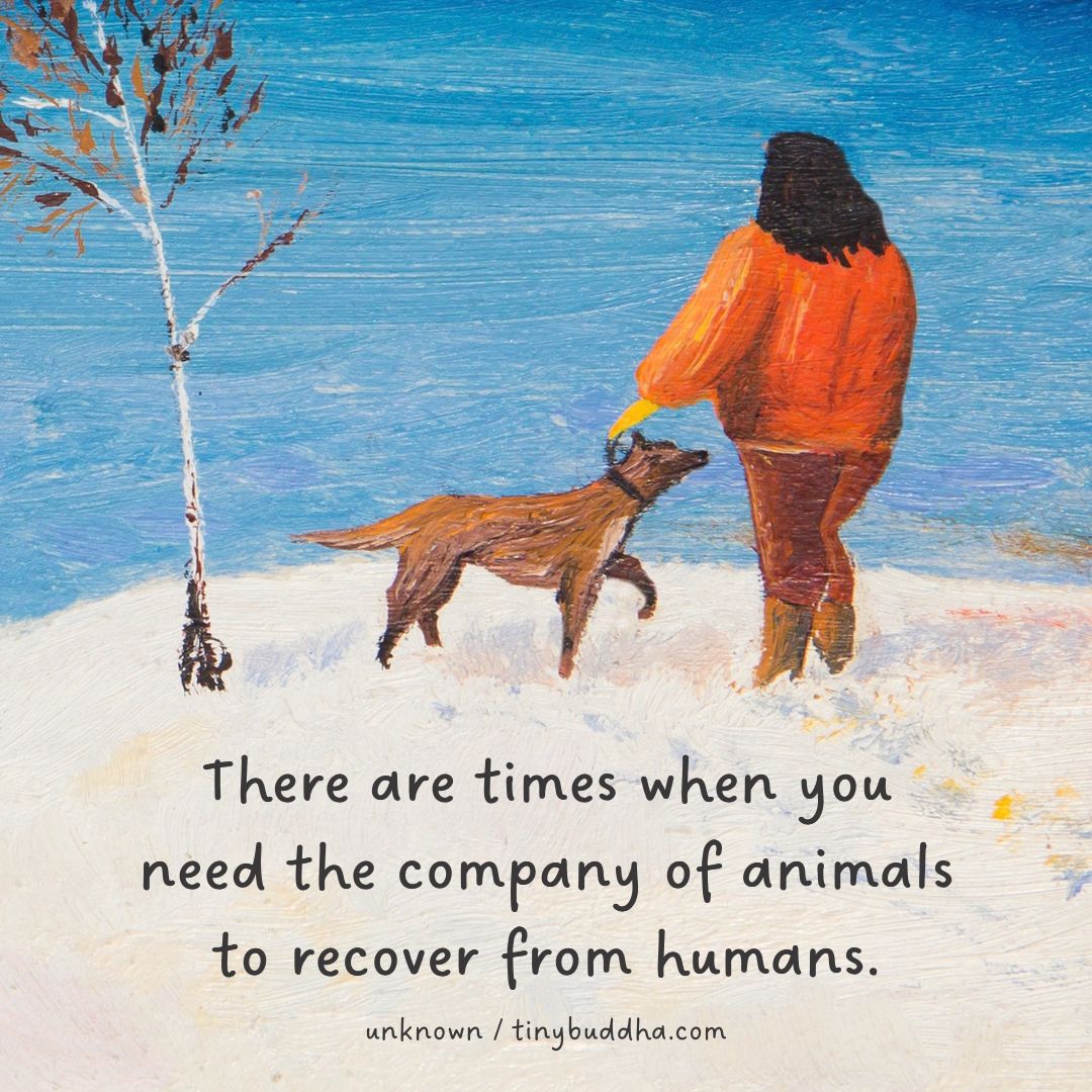 tinybuddha's tweet photo. “There are times when you need the company of animals to recover from humans.” ~Unknown https://t.co/Yxf9y8I6wT