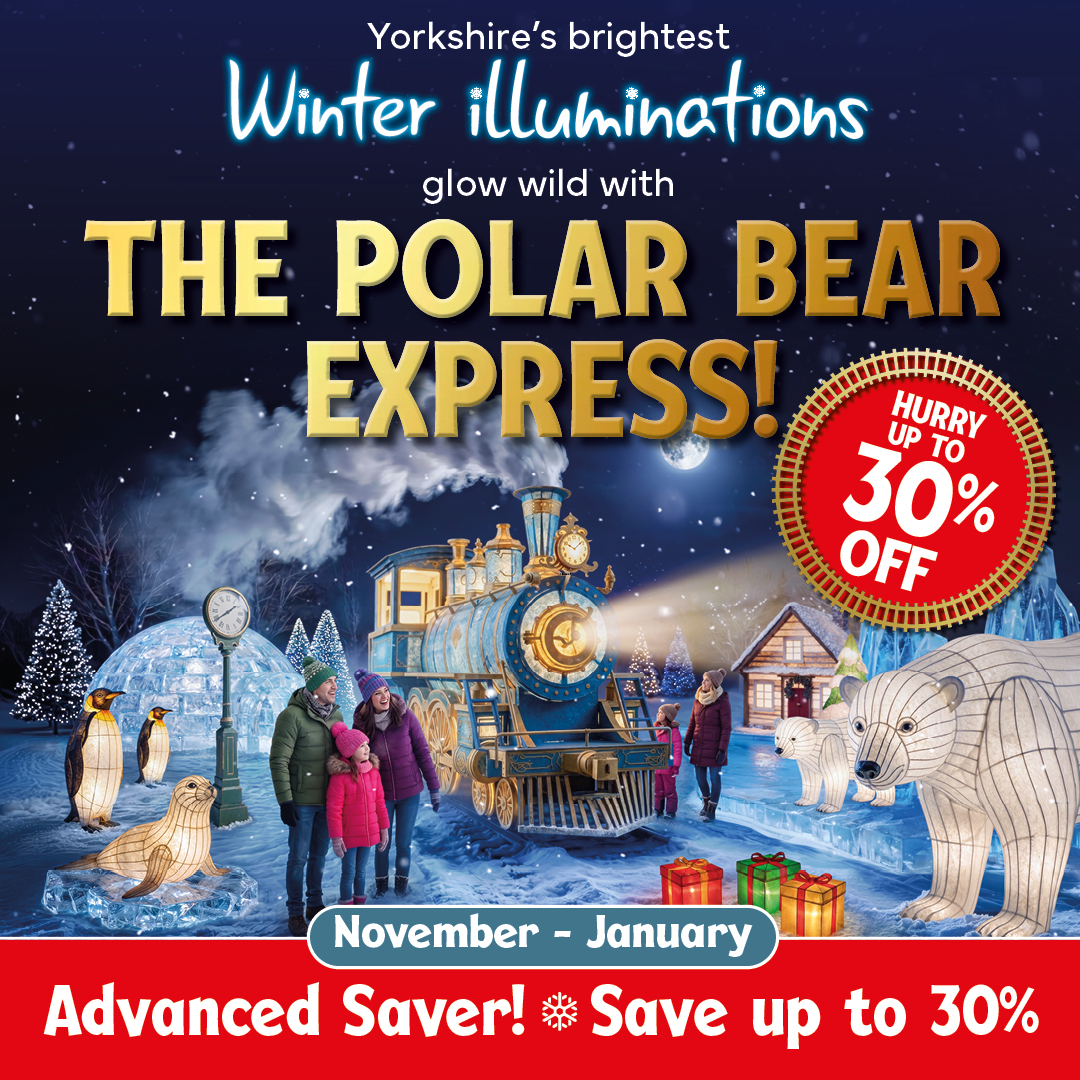 YorkshireWP's tweet photo. Save on Winter Illuminations! ✨🐻‍❄️

Missed out on our Early Bird offer? Don’t worry, there’s still a chance to get an amazing deal on your most magical Christmas adventure yet! 🎄❄️

Find out more! 👉 https://t.co/7XAZmvDmn2

*Additional charges apply. Limited time only. https://t.co/xGjDrVG9Y4
