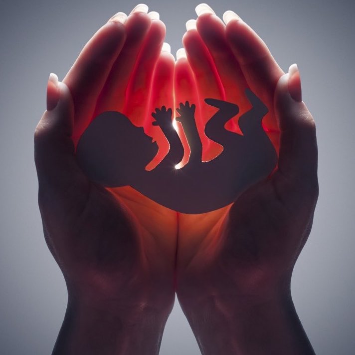 choquei's tweet photo. 🚨VEJA: “Alguém que diz: ‘Sou contra o aborto’, mas diz: ‘Sou a favor da pena de morte’, não é realmente pró-vida.” Disse Papa Leão XIV. https://t.co/2Wu02HreEH
