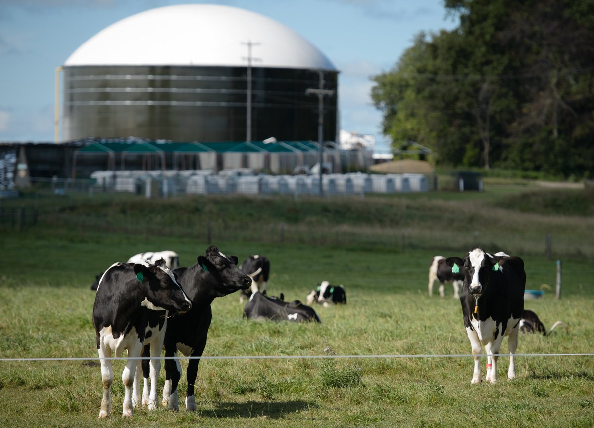 ambiogascouncil's tweet photo. The Michigan Competitive Fuels Act was introduced this week in the Michigan Senate! Thank you to @SenSamSingh for introducing it &amp; @CleanFuelsMI for bringing together a broad coalition to support a market-based approach that gives lower-carbon fuels a place to compete. #RNG https://t.co/QzM2wl08HM
