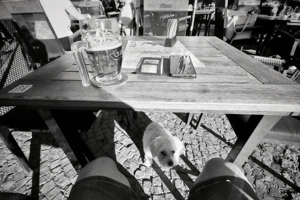 cvrcek_'s tweet photo. Po bezmála dvou týdnech si dal #kuryraKysuce na náměstí jedno #pivo a co myslíte? Měl ho tam jako z praku
A jelikož si pamatuje, že klín se vyráží zase jen klínem, dal si ještě jedno...
#kuryrfoti https://t.co/biVLclmPOx