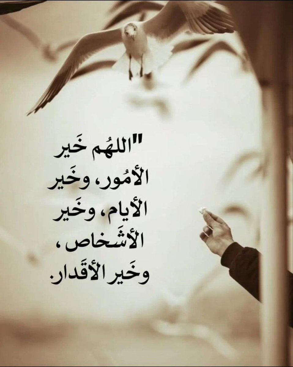 satrawi009's tweet photo. https://t.co/waElzOiwXY