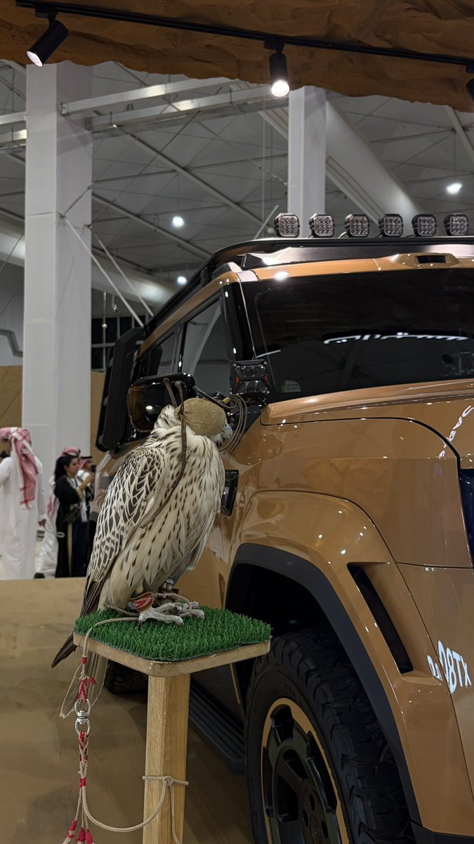 Hem_o11's tweet photo. معرض الصقور 🦅. https://t.co/4c7eJlKMbj