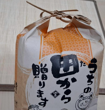 anaph97's tweet photo. 凄いんだ。
同期のうちの一人と今日昼ごはん食べた。
男性だけどロリータとか、服が好き！と。
ロリータも色んな種類があるよね、と
絶妙な詳しさ。
これは…と思い、
「ドールって知ってる？」
……ビンゴでした‼️‼️
同じフロアにドールオーナーがいた！！
しかも同期！！！！
しかも古参！！！ https://t.co/tJe6yjf7H2