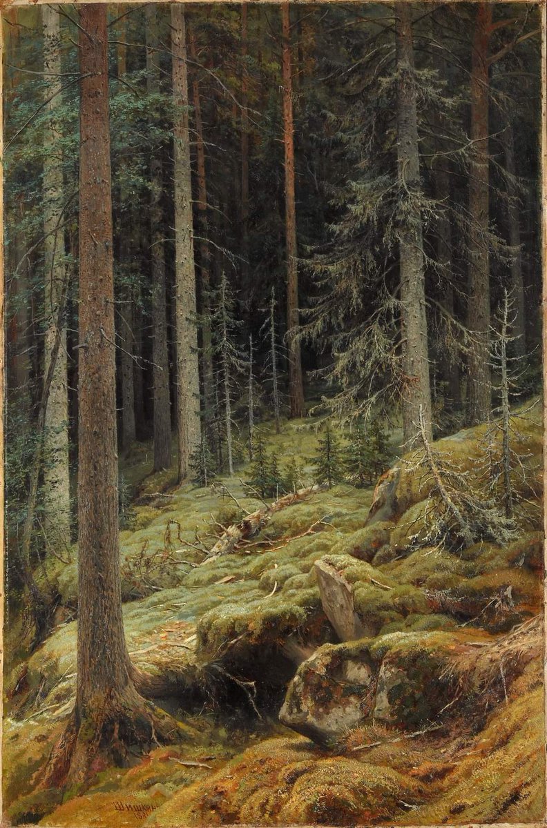 LuisLandeira's tweet photo. «Por estos pagos hay un proverbio que me gusta mucho, dice: “El bosque es grande”, y significa que cualquiera que se encuentre en dificultades o sea víctima de persecución, siempre puede esperar encontrar refugio y acogida en este elemento».
Ernst Jünger https://t.co/AjQVq4F6iA