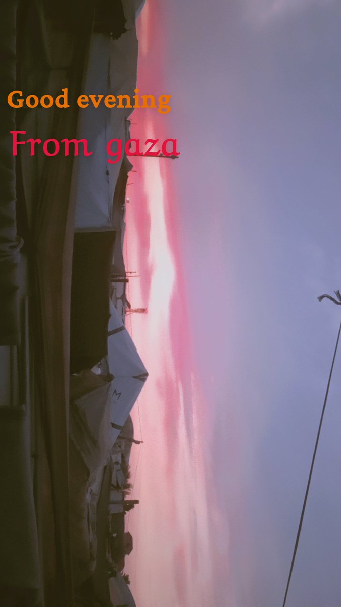 mny2950's tweet photo. Good evening from the skies of Gaza. Please help me continue on the path toward the dream I cherish; stand by me your support, whatever form it takes, means a great deal. May God reward all those who have contributed to and supported me with all goodness.

https://t.co/RaD7Rju6hD https://t.co/J442H2otgs