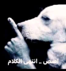 cvcuui's tweet photo. هرموناتك فجأه وهي تزق عليك باكثر يوم مفروض انتي مبسوطه https://t.co/j0pz362OLP