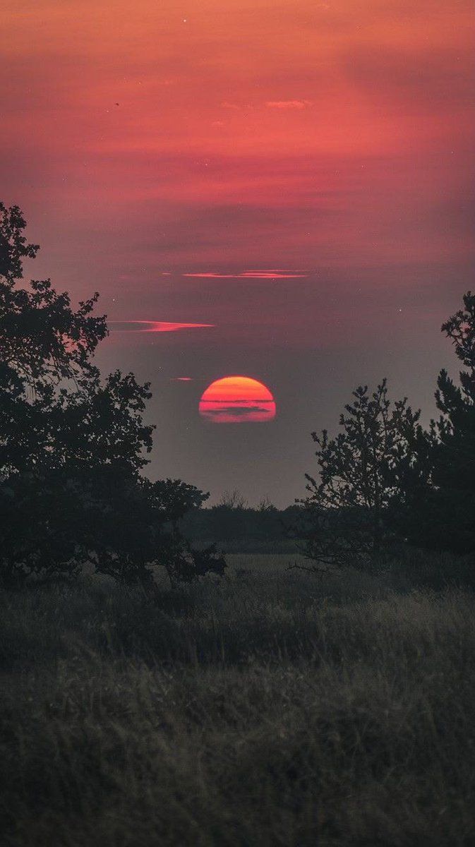 natureaest's tweet photo. Sunset https://t.co/OOKMzrLU6L