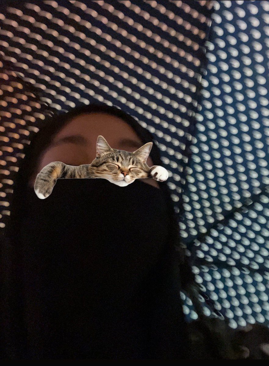 zeyynutt's tweet photo. Ne aradı ne sooordu dıırıırırıııırırırı https://t.co/a3Mbq8OWi7