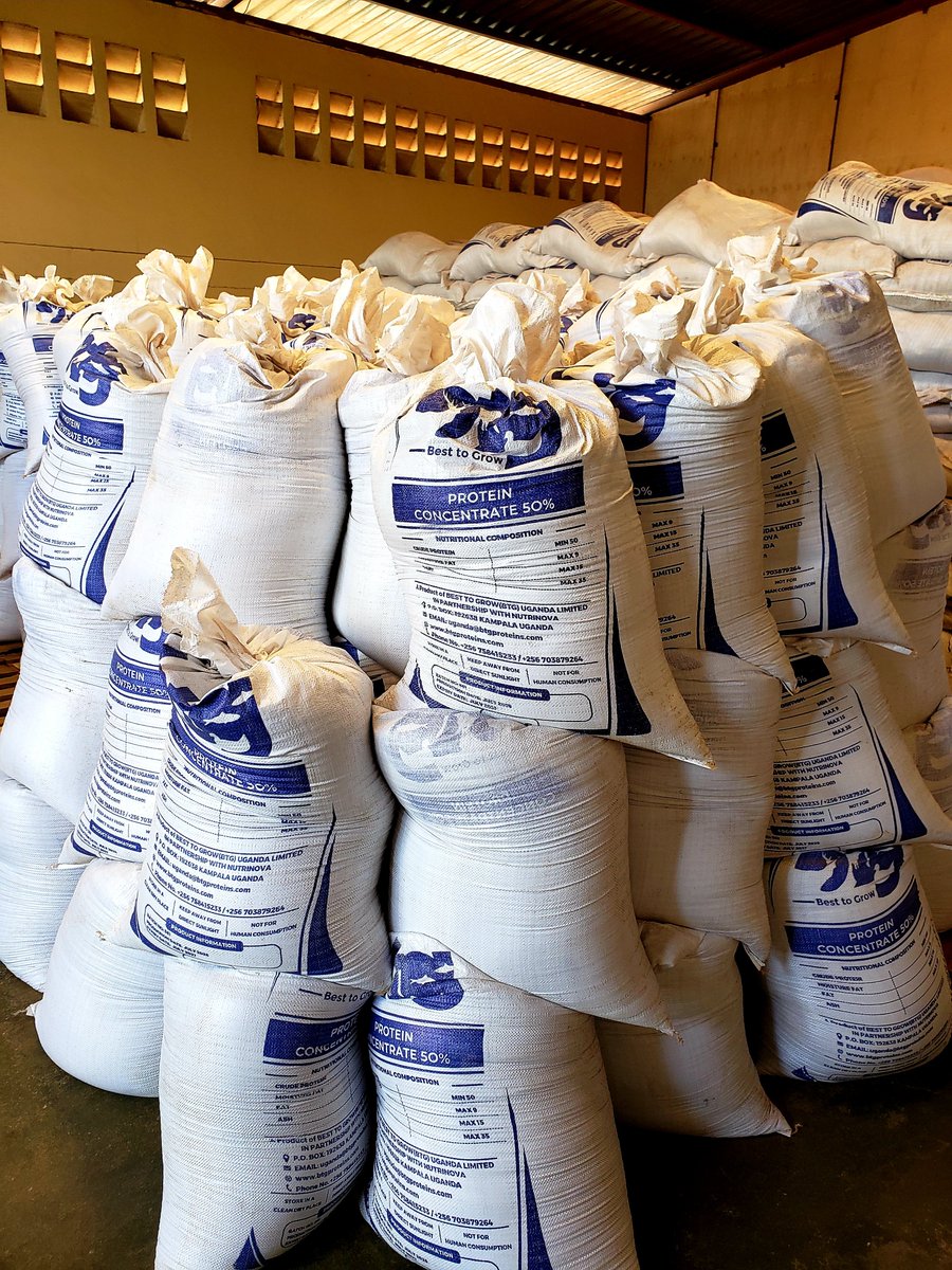 besttogrowwith's tweet photo. When it comes to animal protein feeds BTG UGANDA LTD are the real game 🐟 🐖 🐓 https://t.co/UyFxDpMbIu