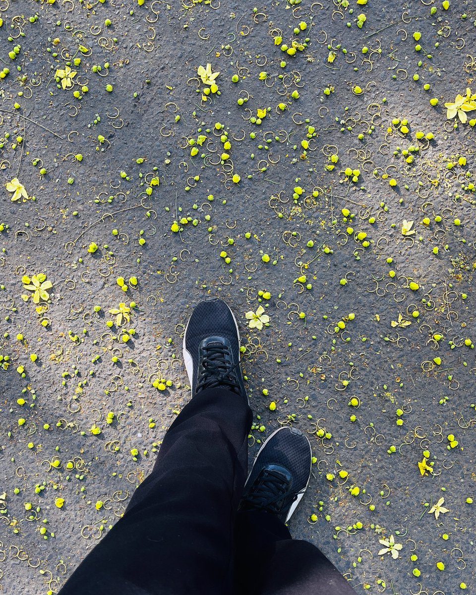 leoslvarj's tweet photo. My goal is simple: I want to get better every day. https://t.co/PK4e0wXToO