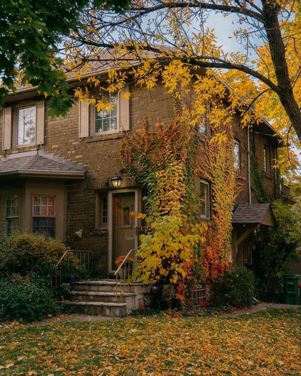 earthviewss1's tweet photo. October in Toronto, Canada 🇨🇦 🍁🍂 https://t.co/8dLN0ySUdO