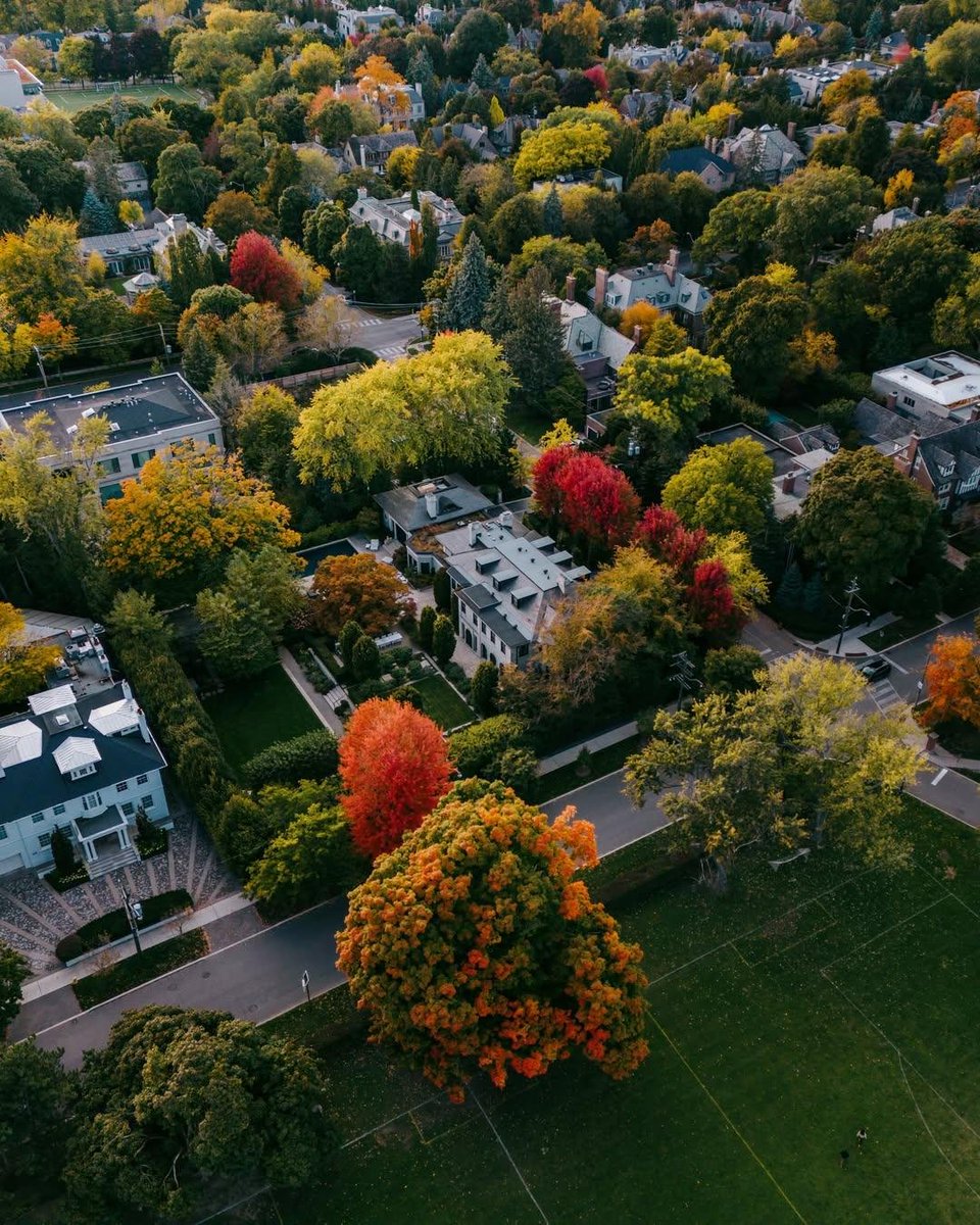 earthviewss1's tweet photo. October in Toronto, Canada 🇨🇦 🍁🍂 https://t.co/8dLN0ySUdO