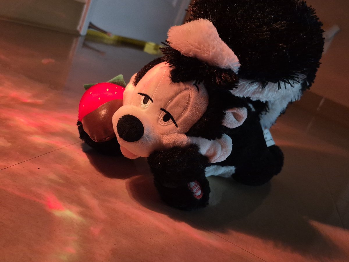 BrxadMilk's tweet photo. @daily_pepelepew No es momento pero si un peluche que compre de el pq esta bien precioso que hasta besitos te manda https://t.co/1FWzFrmo1L