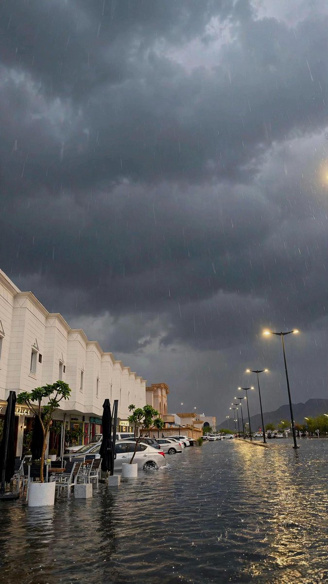 VVVVVPL's tweet photo. مطرٌ يهادينا الحياةَ فترتوي
أرواحنا قبلَ ارتواااااااءِ الأودية https://t.co/fVS8kmGoNq