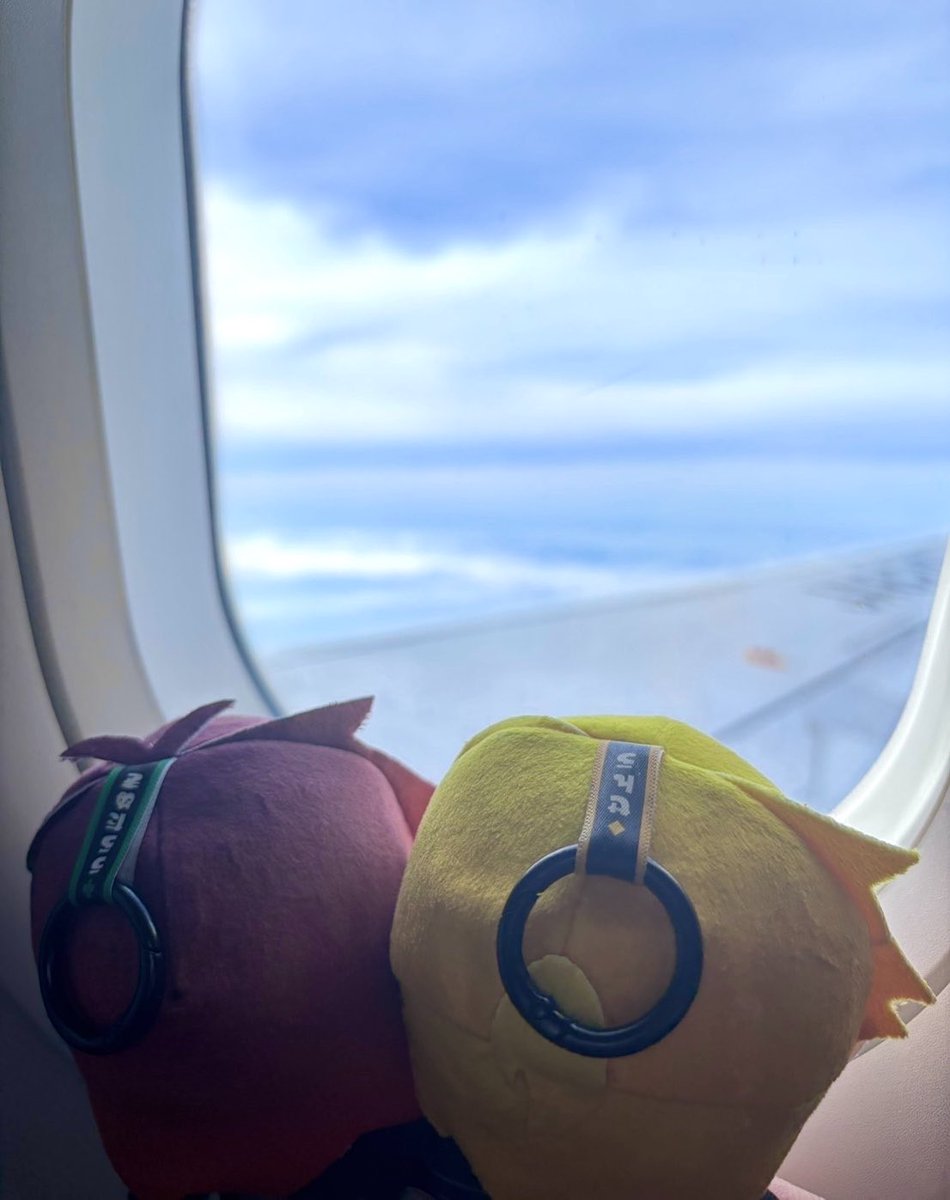 yysm89__'s tweet photo. ✈️でびゅ𓂃 𓈒𓏸◌ https://t.co/dUgDlwm6Q9