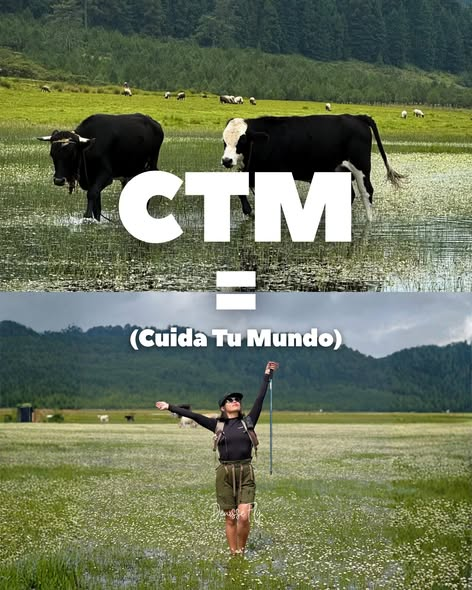 LuisPabloCildd's tweet photo. q tal esta? https://t.co/cKh2tLAV7t