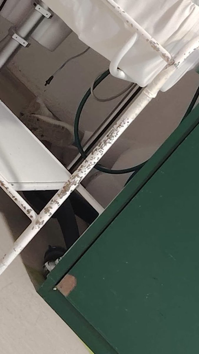 VigiaCiudadano7's tweet photo. PERSONAL DEL HOSPITAL DE GINECOPEDIATRIA DENUNCIA CRISIS SANITARIA Y COLAPSO EN AREA DE PEDIATRIA

Un año sin aire acondicionado, hacinamiento extremo e infraestructura obsoleta disparan contagios de infecciones entre niños internados.

Medicos pediatras y personal de enfermeria alzan la voz ante la falta de respuesta a multiples peticiones formales y advierten deslinde de responsabilidad medica.

CANCUN, Q. ROO. - En medio de condiciones operativas insostenibles que ponen en riesgo directo la vida e integridad de los pacientes neonatales y pediatricos, el cuerpo medico y personal de enfermeria del Hospital de Ginecopediatria levanto la voz este jueves para denunciar el colapso sistematico de la infraestructura y la falta de insumos basicos en sus instalaciones.

La problematica principal radica en la falla del sistema de climatizacion, el cual suma un año completo fuera de servicio.

En una region donde las temperaturas sobrepasan con frecuencia los 30 grados, la falta de aire acondicionado no solo genera un entorno sofocante, sino que destruye los protocolos de bioseguridad y esterilidad. De acuerdo con el personal sanitario, el calor extremo y la nula ventilacion adecuada han provocado un incremento acelerado en las infecciones intrahospitalarias entre los menores ingresados.

A la falla termica se suma un critico problema de hacinamiento. Los cuneros operan con un sobrecupo tal que las cunas e incubadoras se encuentran colocadas literalmente una sobre otra, violando las distancias minimas recomendadas para evitar el contagio cruzado. Asimismo, los pasillos del nosocomio son utilizados de manera permanente como areas de estancia para pacientes ante la saturacion de camas.

Sin aislamiento para casos graves ni subespecialistas

El personal medico advierte que la infraestructura obsoleta del hospital no cuenta con una delimitacion fisica entre pacientes estables y aquellos que presentan cuadros graves o infectocontagiosos.

No hay un area exclusiva para los niños graves, estan revueltos con los niños menos graves. Todos los niños estan juntos y, por lo tanto, se estan infectando unos a otros. Hoy los niños se estan infectando en los cuneros y la situacion es insostenible, señalaron medicos pediatras en representacion del colectivo.

A esta crisis estructural se añade la falta cronica de personal medico subespecialista, lo que obliga al equipo de pediatria general a solventar casos de alta complejidad sin el respaldo ni los recursos tecnologicos necesarios.

Escritos ignorados y deslinde de responsabilidad

Pese a que el personal de salud ha ingresado multiples oficios y peticiones formales a lo largo del ultimo año ante las autoridades directivas y delegacionales, hasta el momento no se ha obtenido una solucion definitiva.

Ante la omision de las autoridades competentes y el inminente deterioro de la salud de los menores internados, el gremio de medicos pediatras y enfermeria hace publica la situacion para deslindarse formalmente de la responsabilidad legal y etica sobre las complicaciones o desenlaces fatales que puedan derivarse de la falta de infraestructura adecuada.

Los trabajadores de la salud exigen la intervencion inmediata de la Direccion General y de las autoridades de salud correspondientes para reparar el sistema de aire acondicionado, redistribuir y ampliar el espacio de cuneros y dotar al nosocomio de la plantilla medica requerida.

@Tu_IMSS @IMSS_Bienestar @imssdigital @zoerobledo 
@GobiernoMX @gobmx @Claudiashein