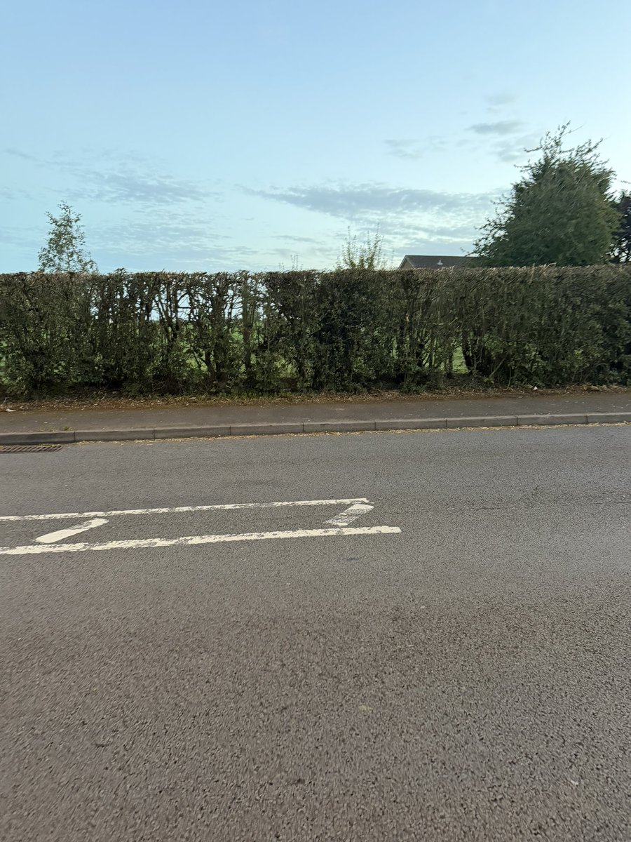 nanaminis's tweet photo. took the bus and i stayed on it longer than i was meant to just so i could get off and walk the rest of the way .. its so refreshing https://t.co/otKWso4yiG