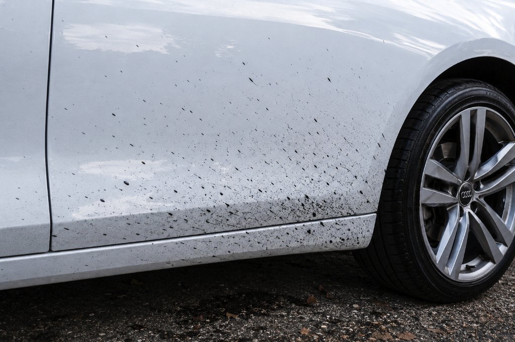 AutoSplashSpla1 tweet picture