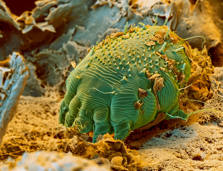 ScienceTM tweet picture