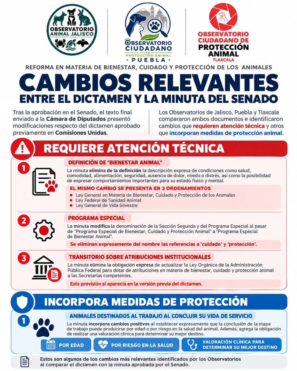 OCPA_Puebla's tweet photo. 🐾⚖️ ALERTA LEGISLATIVA  
Así cambió la Ley de Protección Animal en el Senado  

El dictamen de Comisiones Unidas NO es el mismo que llegó a @Mx_Diputados.  

Los Observatorios de Jalisco, Puebla y Tlaxcala comparamos ambos textos.  

Revisa el comparativo en la imagen 👉

1/4 https://t.co/4pl0VI5P5d