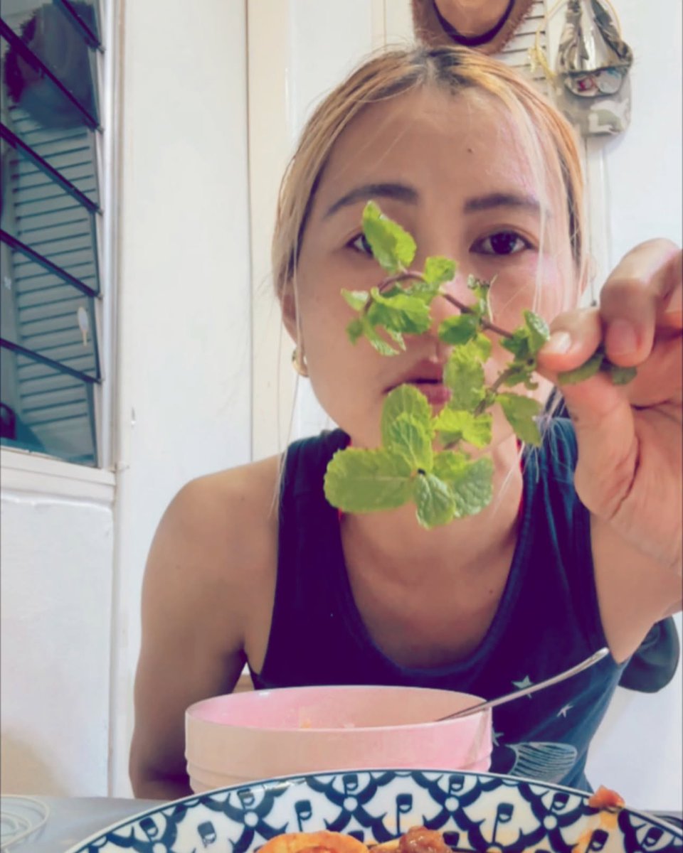 ellabronze's tweet photo. Growing up, we called it zira leaf. In Thailand, I learned many places call it pudina. So, are pudina and pudina the same? https://t.co/duGK9b26dY
