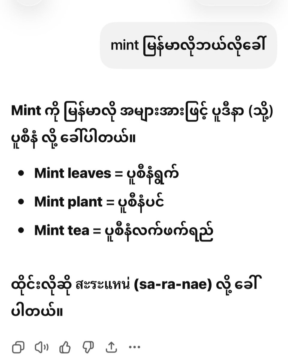 ellabronze's tweet photo. Growing up, we called it zira leaf. In Thailand, I learned many places call it pudina. So, are pudina and pudina the same? https://t.co/duGK9b26dY