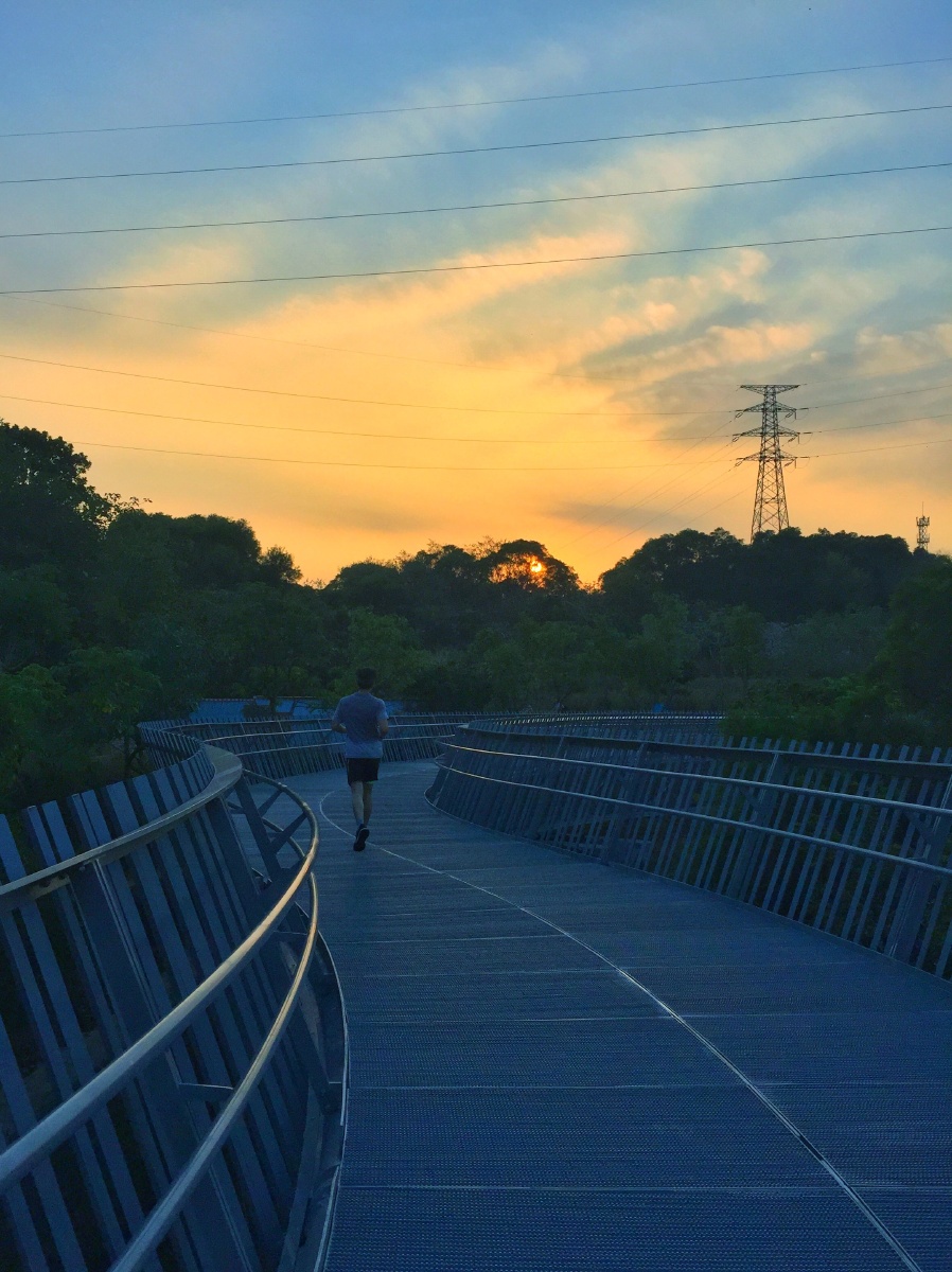 AllisonAndhbhs's tweet photo. Hoy fui al parque central para correr y tomé fotos hermosas del atardecer, una salida relajante después de la semana laboral! https://t.co/DkARCuRzeY