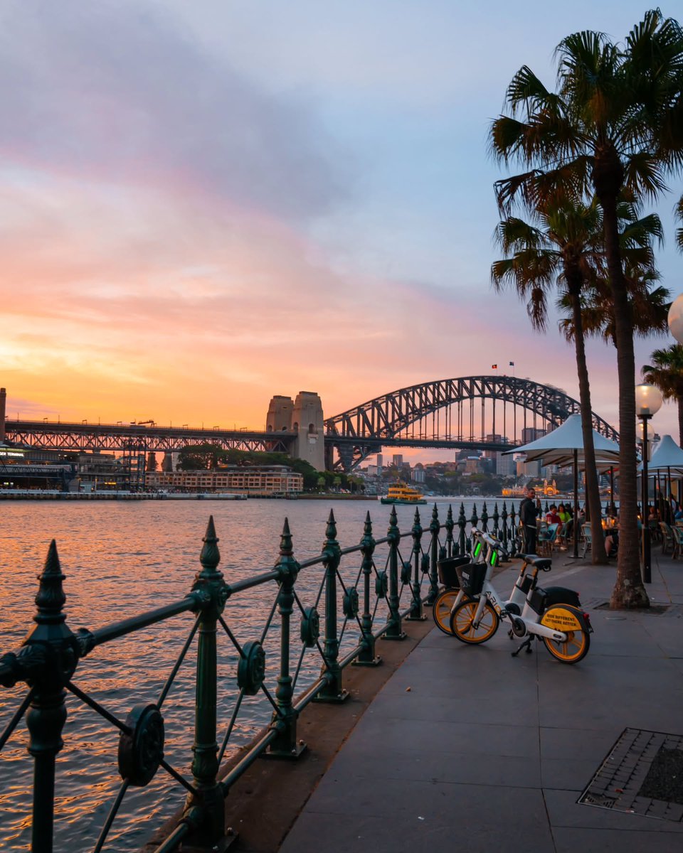 NatureRoot88's tweet photo. Sidney Australia https://t.co/RPqXFpvspb
