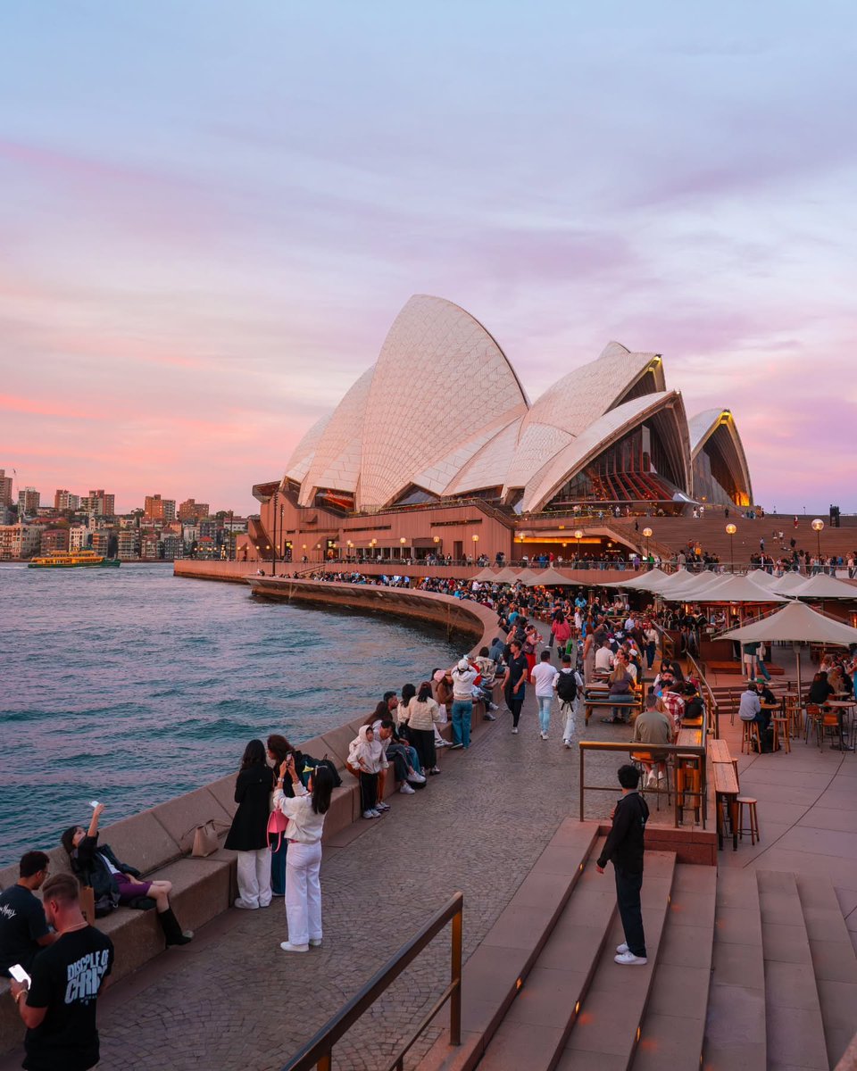 NatureRoot88's tweet photo. Sidney Australia https://t.co/RPqXFpvspb
