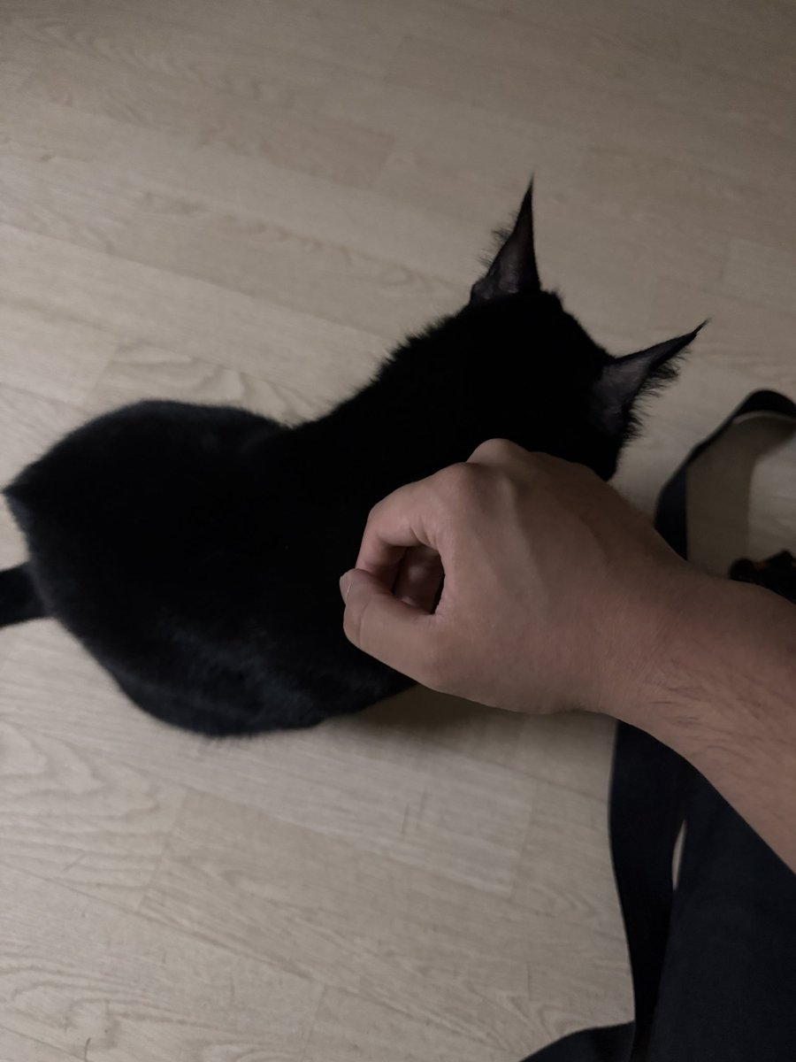 _QAPITAL_'s tweet photo. https://t.co/FUGnB25515